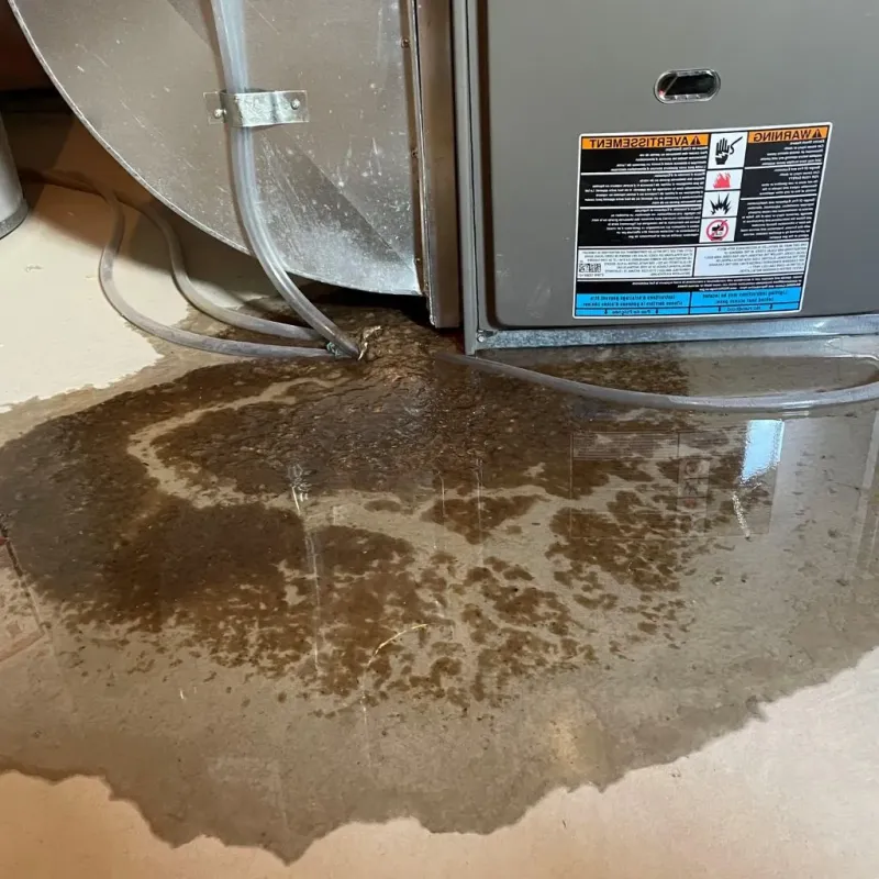 Pipe Burst and Leak Restoration in Ansted, WV