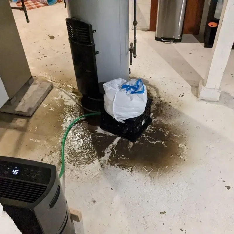 Sewage Backup Cleanup Service in Ansted, WV